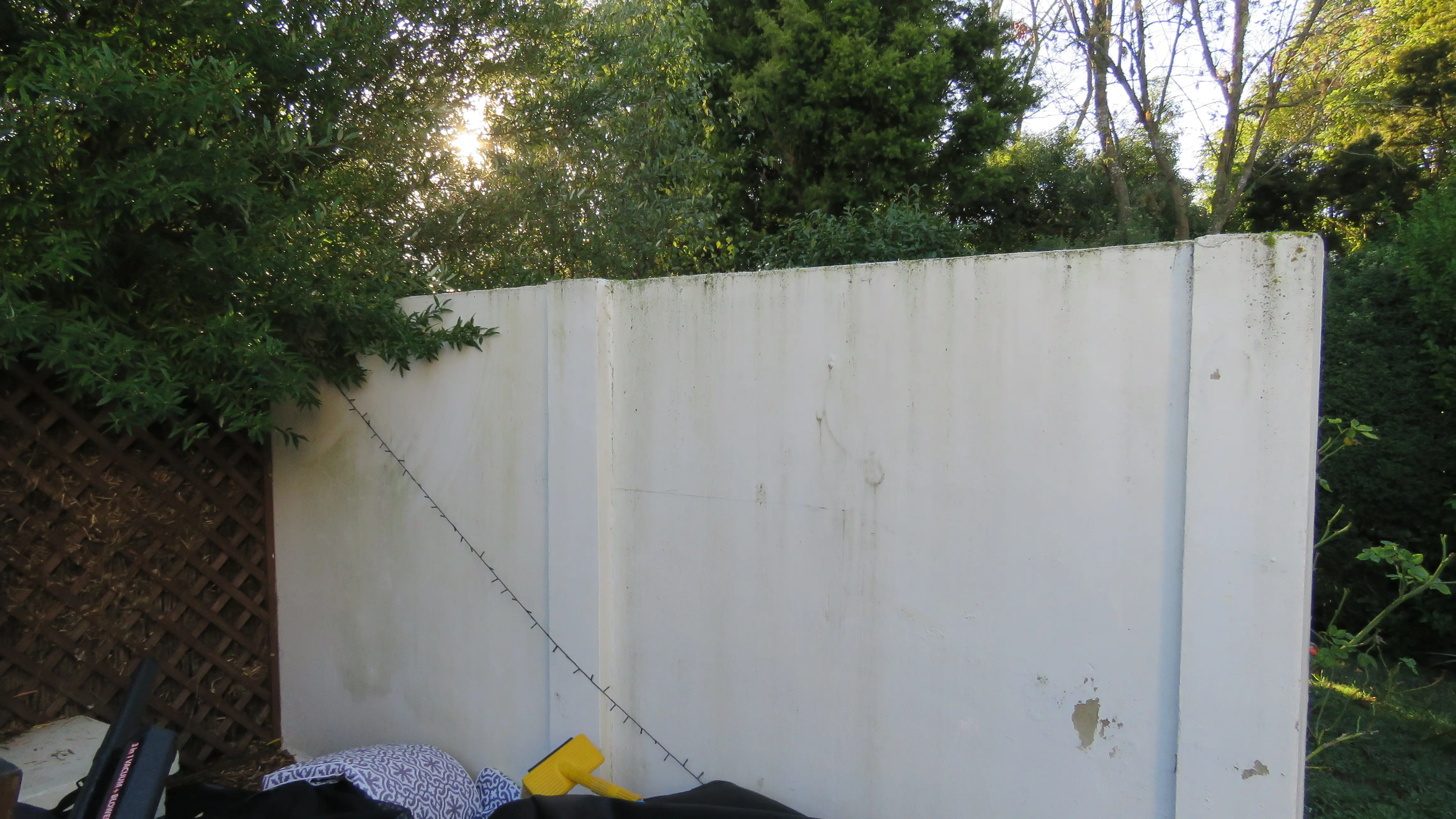 Courtyard wall clean, before professional exterior cleaning